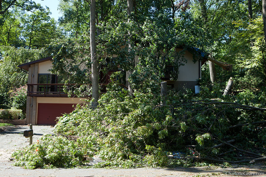 Storm damage after a derecho in Reston | Photo by Charlotte Geary