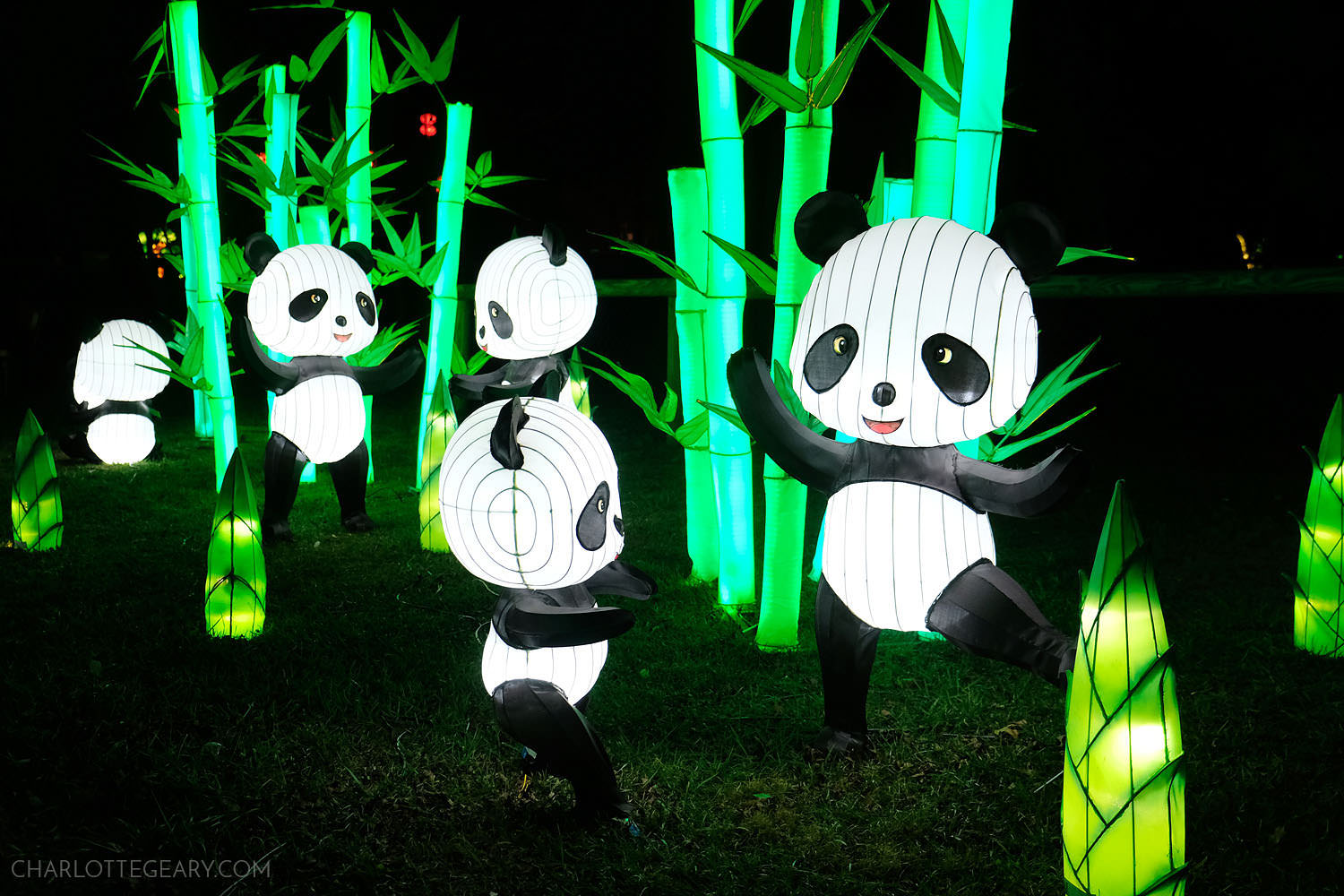The Chinese Lantern Festival might be the most beautiful holiday lights  show you've ever seen