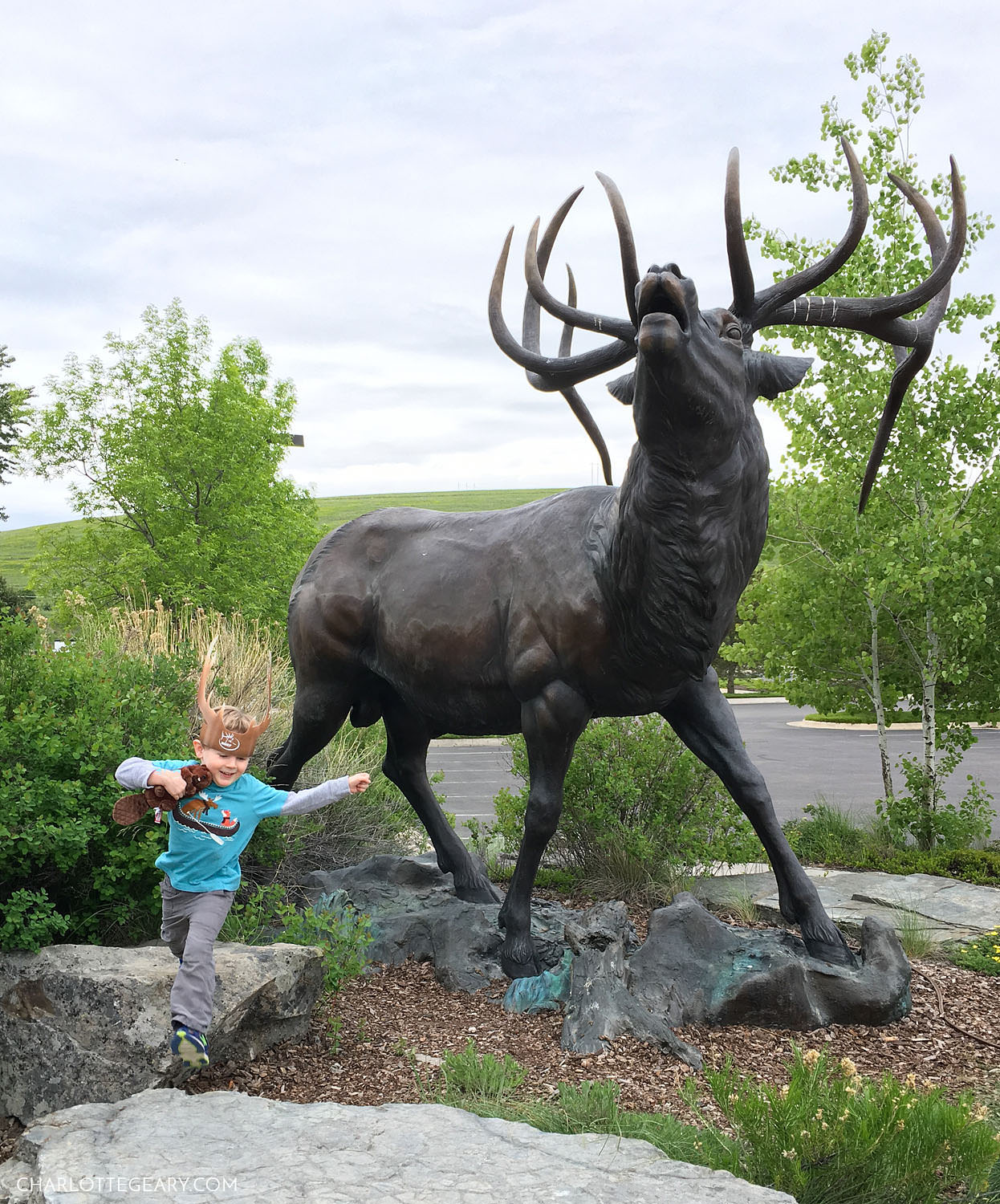 Rocky Mountain Elk Foundation in Missoula