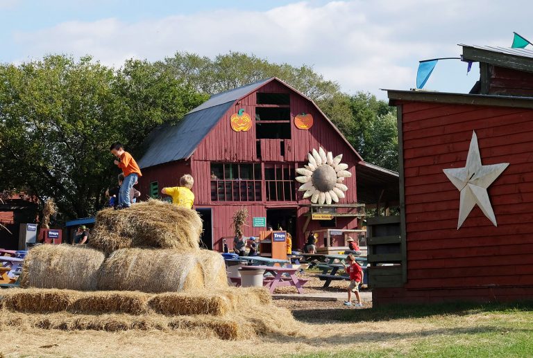 The Cox Farms Fall Festival 10 tips to get the most out of your trip