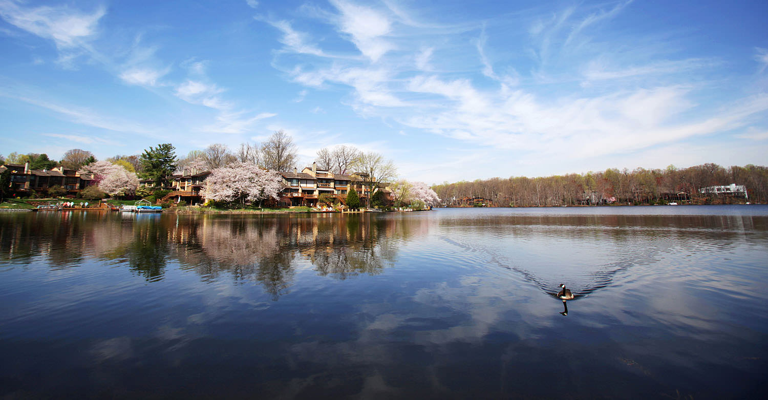 Lake Thoreau