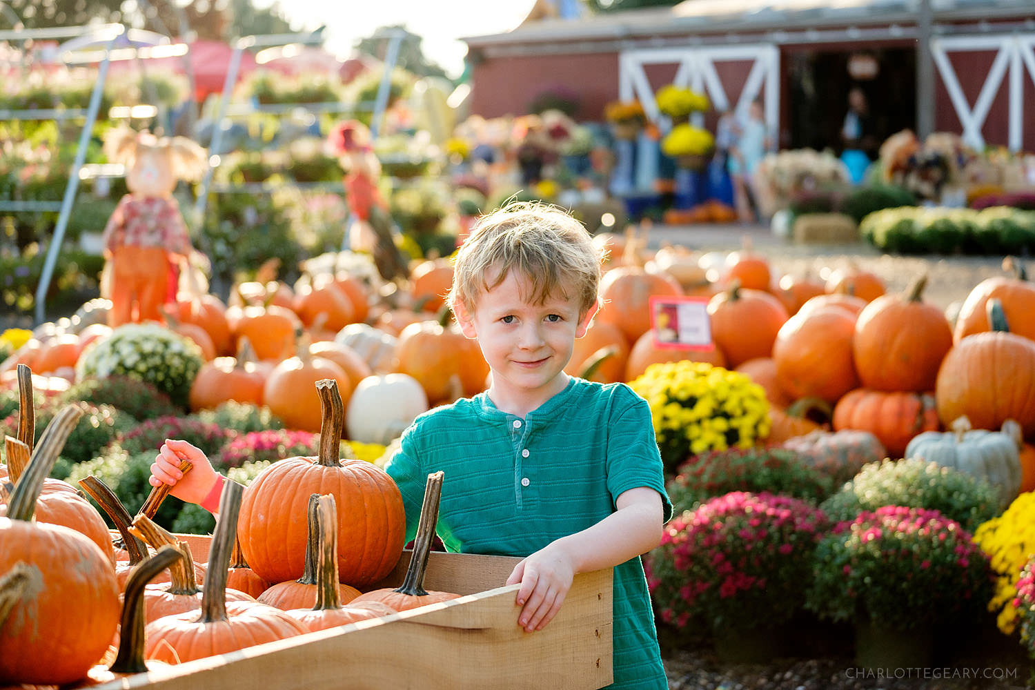 The Reston Farm Market in the fall (Reston, Virginia)
