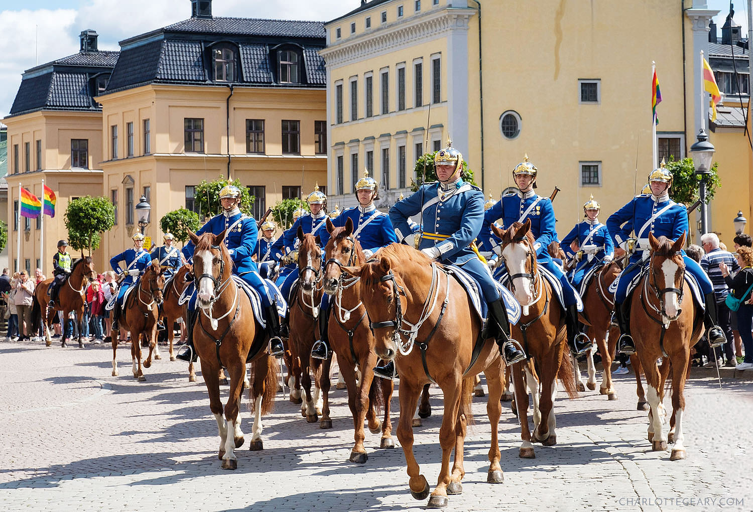 The changing of the Swedish Royal Guard outside the Palace